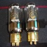 Shuguang Psvane 845-T Tube
